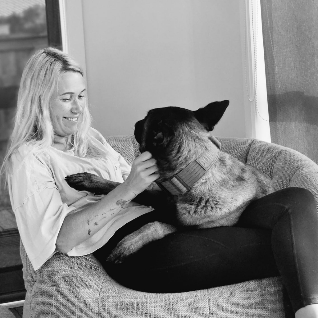 High-Drive Dogs: Nutrition, Enrichment & Behaviour