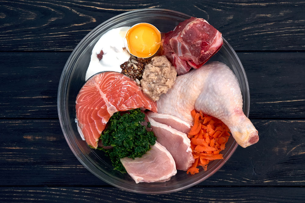 Raw Feeding Dogs: 10 Simple Rules to Get Started by Dana Scott