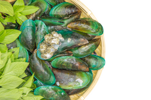 The Benefits of Green Lipped Mussels for Dogs