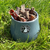 A picture of a bowl of air-dried beef weasand pieces.