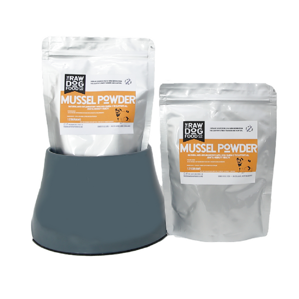 Two packets of Green Lipped Mussel Powder, one placed inside a stand and the other standing on its own, against a white background.