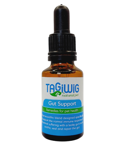 Gut Support – Digestive & Gut Health Support for Dogs and Cats