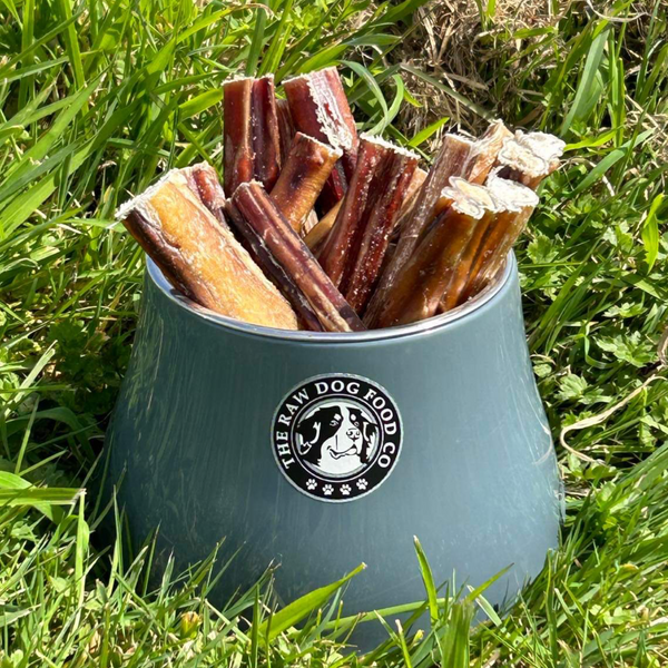 Air Dried Beef Bull Pizzle Sticks: A Great Treat for Big Chewers