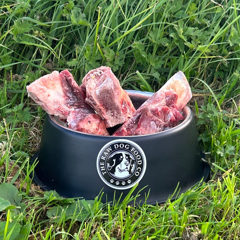 Raw Dog Food Real Health Benefits Delivered Nationwide