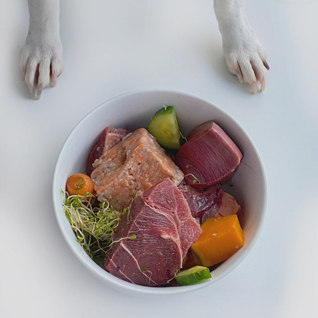 Raw Dog Food | Natural Raw Pet Food | Delivered Nationwide