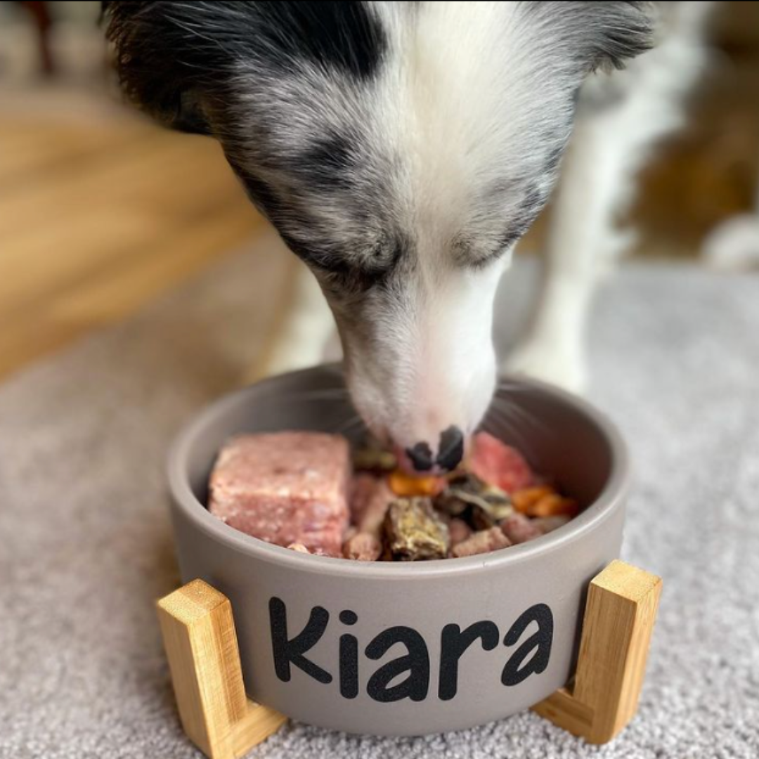An image of a dog eating a raw pet food meal that includes chicken mince 