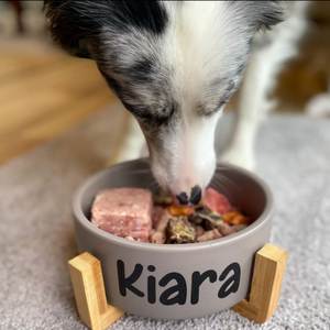 An image of a dog eating a raw pet food meal that includes chicken mince 