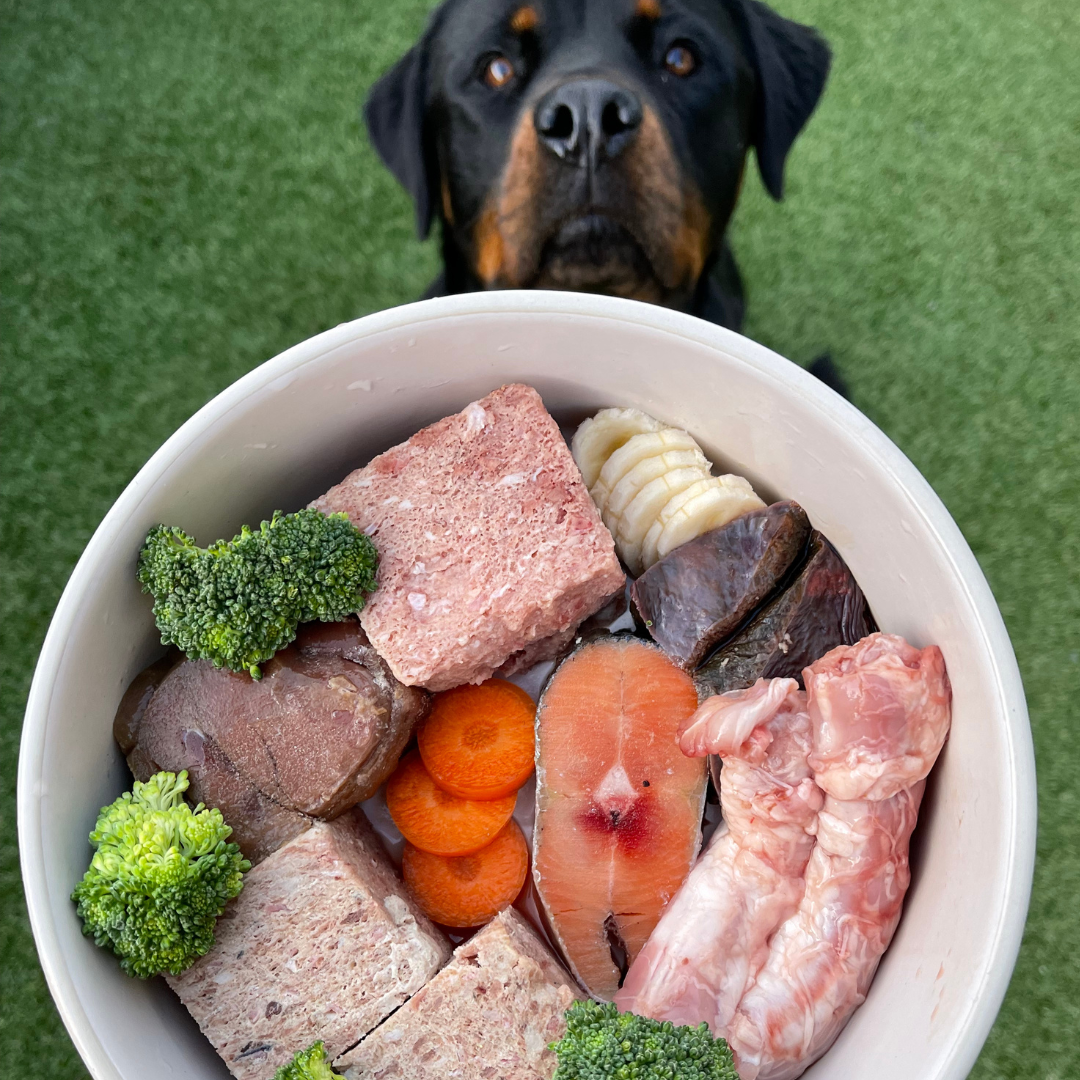 An image of a dog and his bowl that includes chicken necks.