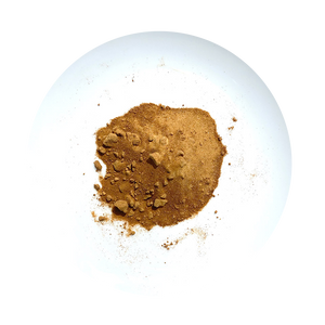 A picture of a plate with Green Lipped Mussel Powder intended for pets. 