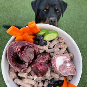 A dog with a bowl full of food that includes some puppy pellets.