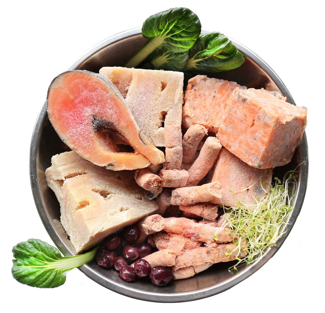 A bowl of frozen dog food which includes various proteins like meat and offal.