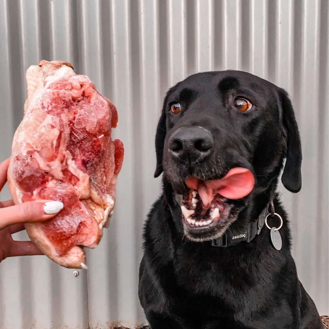 Chicken Frames The Raw Dog Food Co